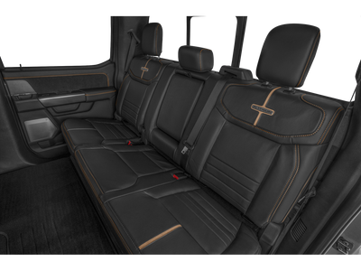 2025 Ford F-250 Platinum